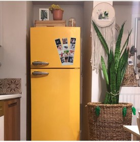 Resim 3'lü Şerit Magnet 6x28 