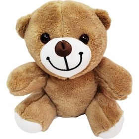 Resim Sevimli Peluş Ayicik Tdrtr Çok Renkli 