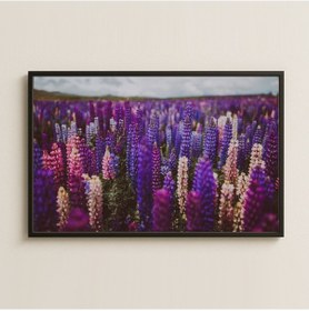 Resim Mor Ve Pembe Tonlarında Doğal Lupin Çiçek Tarlası Pleksi Tablo 