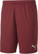 Resim Puma 70426209 Teamgoal 23 Knit Shorts Erkek Şort 