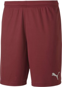 Resim Puma 70426209 Teamgoal 23 Knit Shorts Erkek Şort 