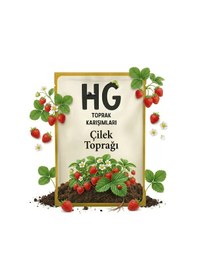 Resim Hg Çilek Toprağı Özel Karışım 5 Lt 