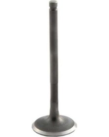 Resim Bmw Uyumlu M43 ve M73 Motor Egzoz Subap Tkm 8 Valf 11341739113 