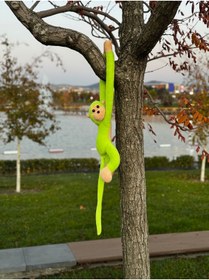 Resim lole-x auto Elleri Yapisan Oyun Ve Uyku Arkadasi Pelus Maymun Oyuncak Sarilan Maymun (YEŞİL) 