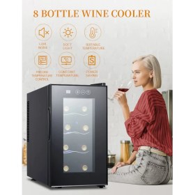 Resim Termoelektrik Şarap Soğutucu | 8 Şişe Kapasiteli | 23 Litre 8-18°c Temperli Cam Şarap Saklama Dolabı 