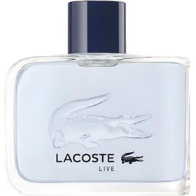 Resim Lacoste L Ve Edt 75 Ml Erkek Parfümü Odunsu 