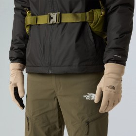 Resim The North Face Etip Geri Dönüştürülmüş Erkek Krem Eldiven Nf0a4shabox1 Krem 