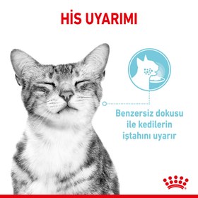Resim Royal Canin Sensory Feel Gravy Pouch Kedi Yaş Maması 85 Gr 