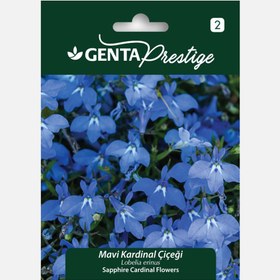 Resim Genta Prestige Mavi Kardinal Çiçeği 