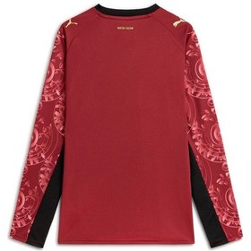 Resim Puma Galatasaray 25/26 Erkek Uzun Kollu Alternatif Forması 788432 03 Kırmızı 