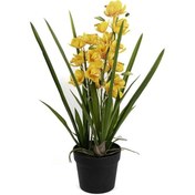 Resim Mikasa Moor P282.356569 Sarı Yapay Simbidyum Orkide 58cm 