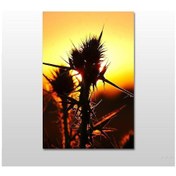 Resim Kaktüs Kanvas Tablo 80x40 