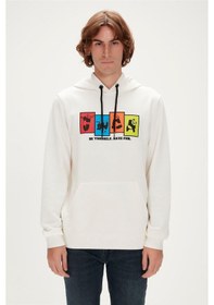 Resim Bad Bear 23.02.12.004-c04 Fun Erkek Sweatshirt 001 