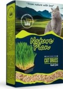 Resim Nature Plan Kedi Çimi 500 ML 