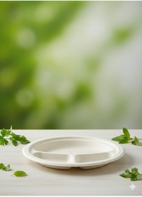 Resim Ekolojik Ambalaj Doğa Dostu Organik 26cm 3 Bölmeli Tabak 10 Adet 