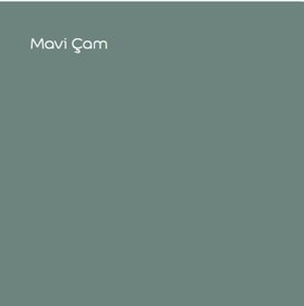 Resim Marshall Maximum Mat Silikonlu Mavi Çam 2,5 Lt. 3,5 Kg 