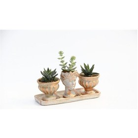 Resim TRİO HELEN ORANGE SUKULENT SETİ - Haworthia Pumila, Crassula 