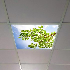 Resim Gök Panel 60X60 LED Panel Aydınlatma Armatür Avize Sıva Altı Desenli Tekli 46510501SA 