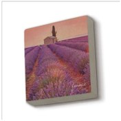 Resim Fransa Görseli Baskılı Taş Magnet 5x5 