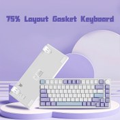 Resim AJAZZ AK820 75% Düzenli Kablolu Mekanik Oyun Klavyesi, Ses Kontrolü, Güney Yönlü LED, PBT Tuş Kapakları, Programlanabilir RGB, Ergonomik Tasarım, Çıkarılabilir USB-C Kablo, Tuş Kapanı Çekici Dahil - İki El Kullanımı İçin; AK820 