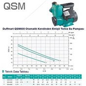 Resim Duffmart QSM600 Kendinden Emişli Sıcak Soğuk Su Pompası 