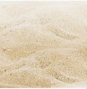 Resim 5 Kg Akvaryum Kumu Deniz Kumu Plaj Kumu Akvaryum Bitki Kumu 