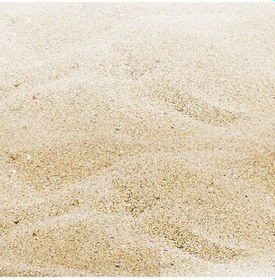 Resim 5 Kg Akvaryum Kumu Deniz Kumu Plaj Kumu Akvaryum Bitki Kumu 