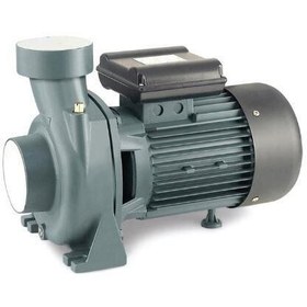 Resim Rain Pump CPM170 Bahçe Pompası 