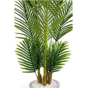 Resim Areka Palmiyesi 160cm Krem Gümüş Metal Darbuka Saksıda H 