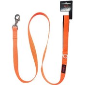 Resim Tailpetz Air Orange Match Leash Köpek Gezdirme Kayışı 135 Cm 