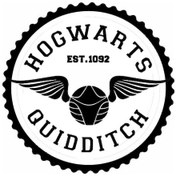 Resim Hogwarts Quıddıtch Tasarım Sticker 40 X 40 Cm 