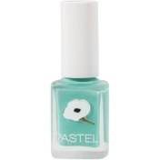 Resim Pastel Oje No: 419 