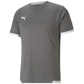 Resim Puma Teamliga Jersey Erkek Futbol Forması 70491713 Gri 