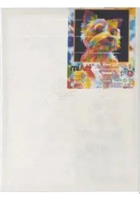 Resim Miart Sayılarla Boyama Seti Taksim 30x40 Cm 