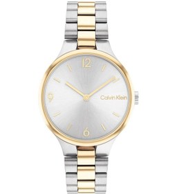 Resim Calvin Klein CK25200132 Kadın Kol Saati 
