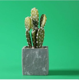 Resim Gdx Stüdyo Fon Perde, Pvc Arka Plan Yeşil/green 120x200 Cm 