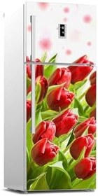 Resim Buzdolabı Kapağı Kaplama Sticker 0084 