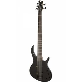 Resim Epiphone Toby Deluxe V Bas Gitar (Ebony) 
