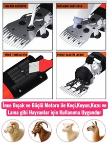 Resim SCHMITZER Pro Seri Metal Şanzuman Profesyonel Koyun Keçi Kırpma-Kırkma Makinası 6 Kademe Devir Ayarlı 