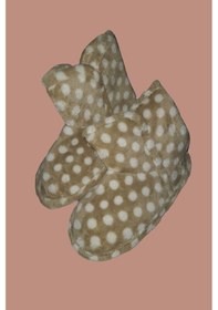 Resim Kadınlara Özel Panduf Desenli Çok Renkli 