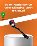 Resim Skygo 540 İğneli Titanyum Dermaroller Profesyonel Ev Tipi Cilt Yenileme Aparatı 