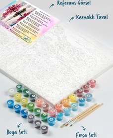 Resim Tabdiko Sayılarla Boyama Seti 40 x 50 cm Tuval Şasesine Gerili Yalnız Ağaç 