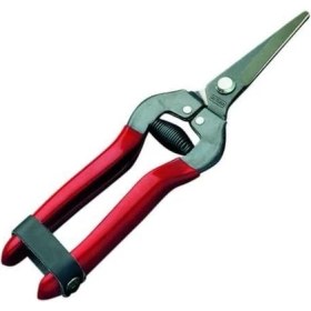 Resim 1270 Çiçek Meyve, Düz Ağız, 190 mm Komple Uzunluk 