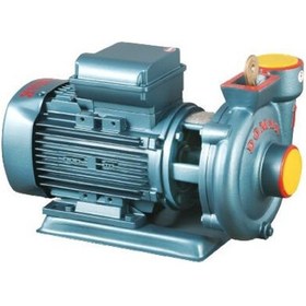 Resim Domak Slg2 2hp Monoblok Monofaze Elektropomp 
