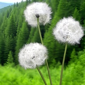 Resim 25.59 İnç Şık Yapay Karahindiba - Bakım Gerektirmeyen, Solmaya Dayanıklı Bahçe ve Veranda Dekorasyonu - Düğünler, Fotoğrafçılık Aksesuarları - Sonbahar & Kış Mevsimi İçin Mükemmel - Büyükanne Günü, Cadılar Bayramı, Şükran Günü, Noel için İdeal 