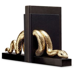 Resim Altın Yılanlı Kitap Desteği 