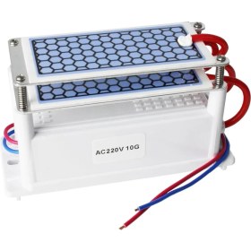 Resim Taşınabilir Seramik Ozon Jeneratörü Iki Sayfalar Hava Temizleyici Sterilizasyon Aktif Oksijen Arıtma (220 V 10G)(Yurt Dışından) 