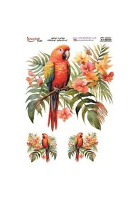 Resim Pirinç Dekopaj Kağıdı 30x42cm Pt-1820 