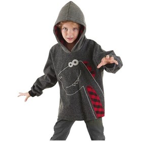 Resim Denokids Dino Erkek Çocuk Kapüşonlu Sweatshirt Gri 