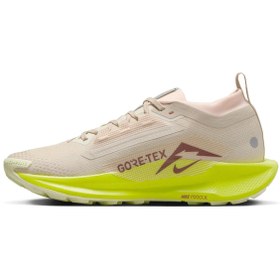 Resim Nike Pegasus Trail 5 Gore-tex Kadın Koşu Ayakkabısı FQ0912-101 
